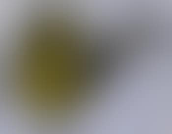 Brushstroke; Device by Jasper Johns (preview)