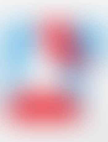 Art from the American Dream Portfolio (preview)