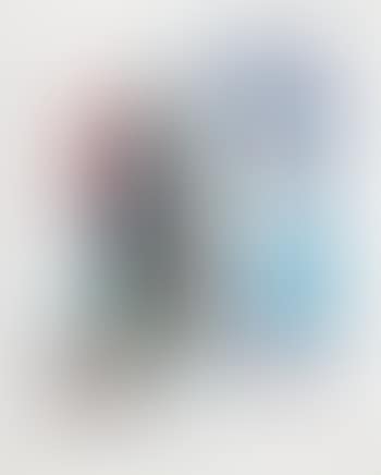 The Fauve (preview)