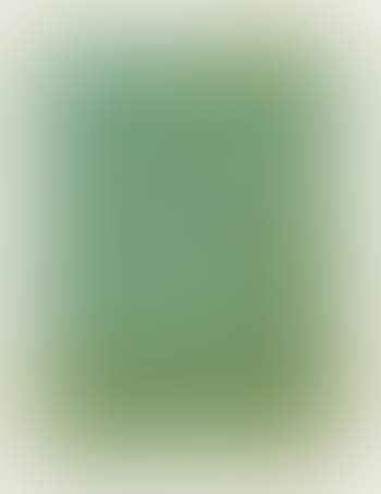 Hommage à Marcel Duchamp (preview)