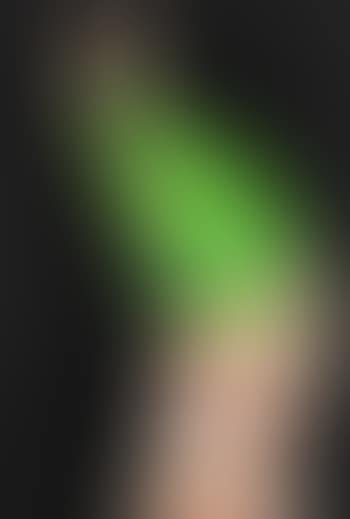 Pulli IV (preview)