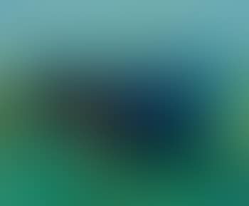 Landscape (preview)