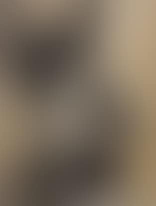 Figure in profile (preview)