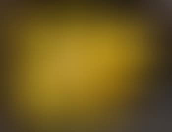 Yellow flower (preview)