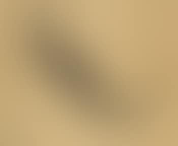 Composition (preview)