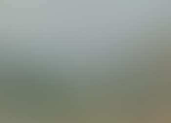 River Landscape (preview)