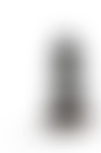 Singe capucin violoniste (preview)