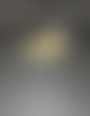 Ceiling light (preview)