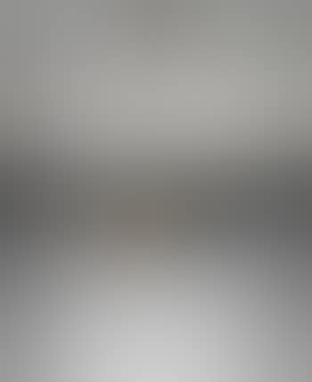 Ceiling light (preview)