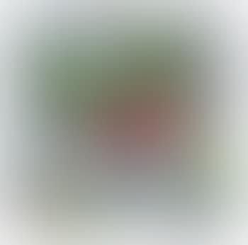 Mele cadute sul greto (preview)