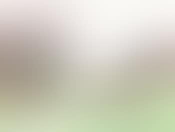 Grazing Sheep (preview)