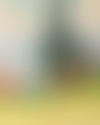 Landscape with Cottage and Pine Trees (preview)