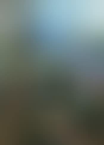 Paysage au Cap Martin (preview)