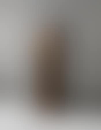 Slotsbakckan cabinet (preview)