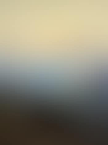 Mt. McKinley, Alaska, height 20,300 ft (preview)