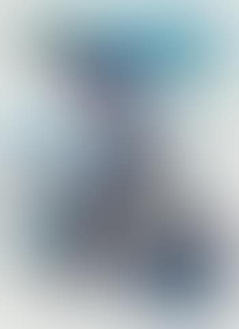 Composition (preview)
