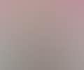 Japanese apricot 3 twilight (preview)