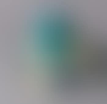 Head blue dog (preview)