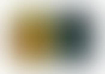 Untitled (No. 327): A Diptych (preview)