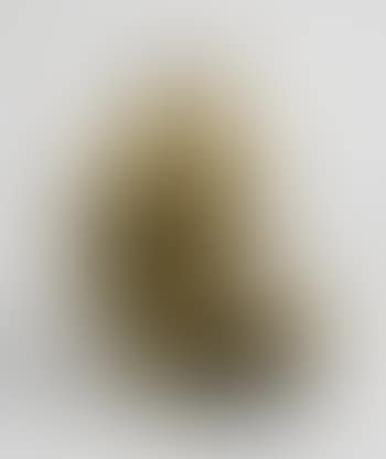 Traumfrucht (preview)
