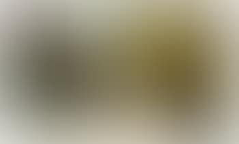 Unter Den Linden (preview)