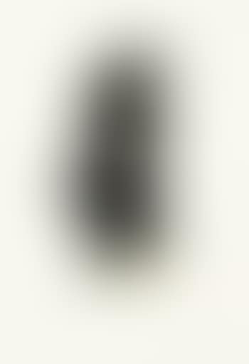 Nose Alone (preview)