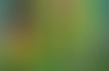 Garden II (preview)