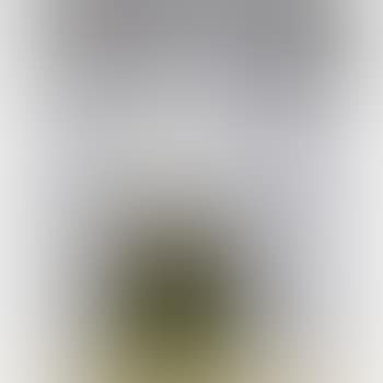 Composition (preview)