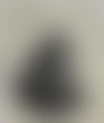 Self Portrait with plumed Cap and lowered Sabre (b.23, h.23) (preview)