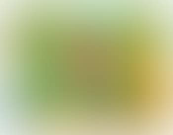 Untitled (C93-09) (preview)