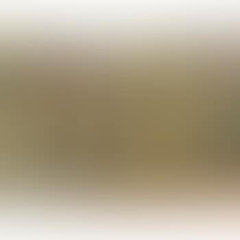 Cortile carsico (preview)