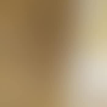Grande Chambre 15 (preview)