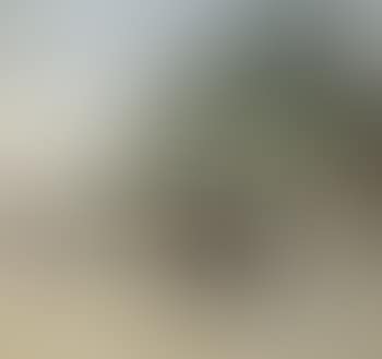 Le Jardin De Luxembourg: La Promenade, Paris (preview)