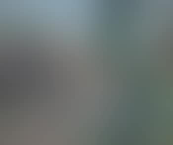 Staphorst (preview)
