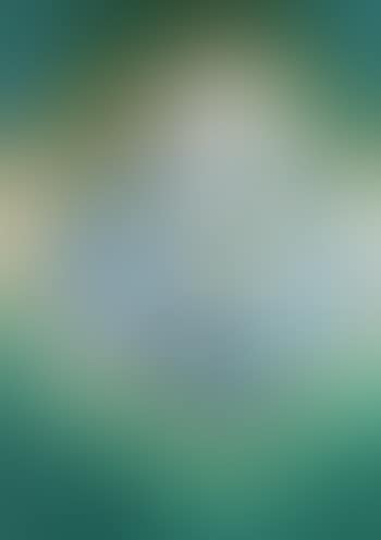 Composition (preview)