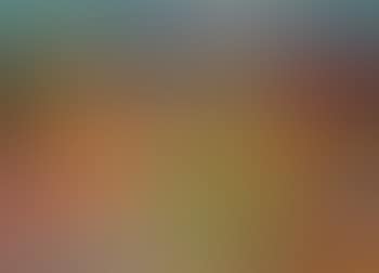 Paysage (preview)
