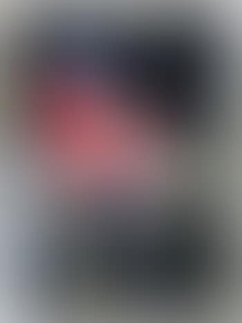 Nature Morte Au Claire De Lune (preview)