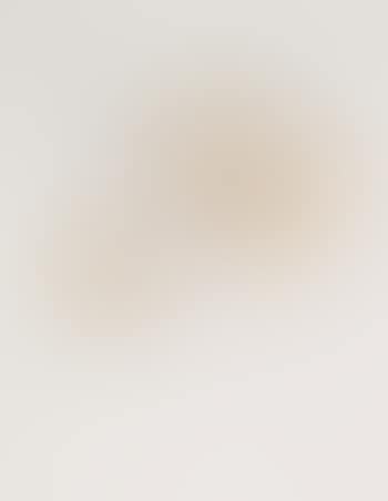 [Untitled] (preview)
