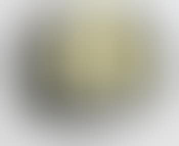 Cesto di limoni (preview)