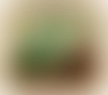Seascape (preview)