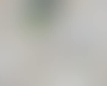 Misto (preview)