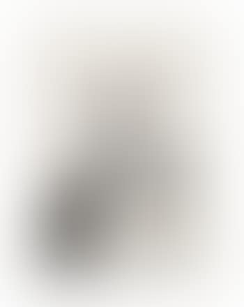 Portrait of Dr Spitzer (preview)
