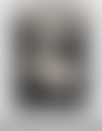 Sottsass Bear, 2013 (preview)