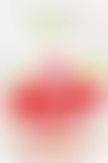 Sunspots, 1988 (preview)