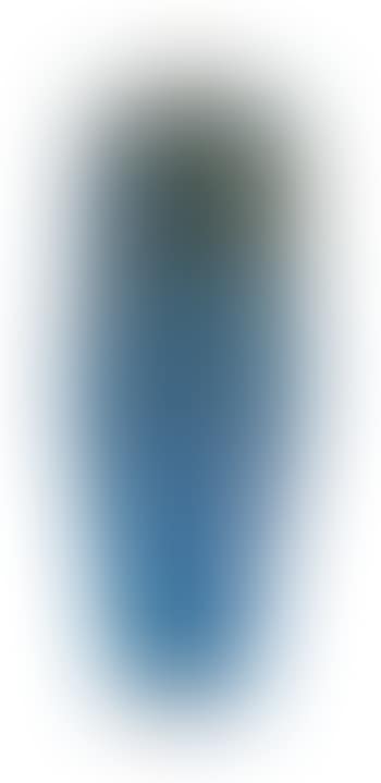Vase (preview)