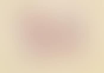 Landschaft mit Agaven (preview)
