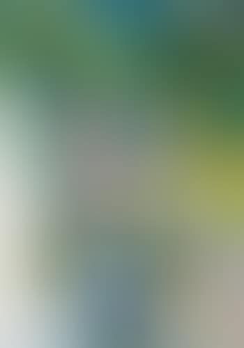 Vase of Flowers (preview)