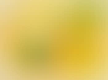 Composition jaune, orange et verte (preview)