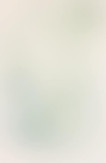 View of Wall Street (preview)