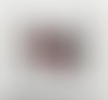 Agamograph (preview)